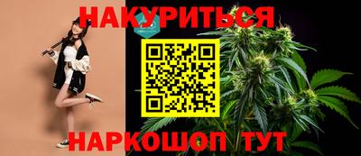 Альфа ПВП Новозыбков
