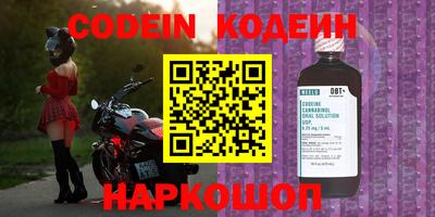 Альфа ПВП Новозыбков