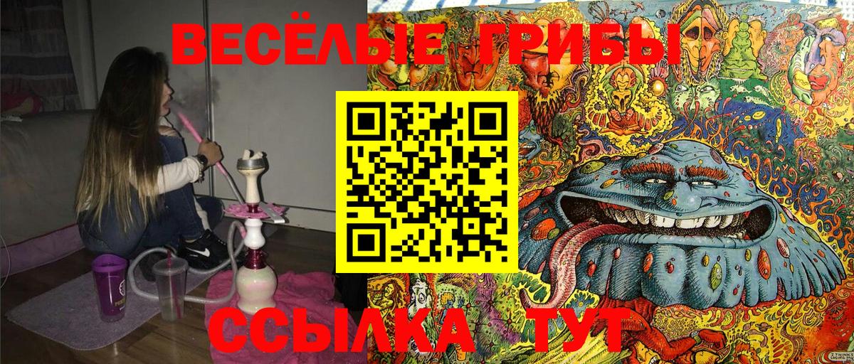 Галлюциногенные грибы Psilocybine cubensis Славгород