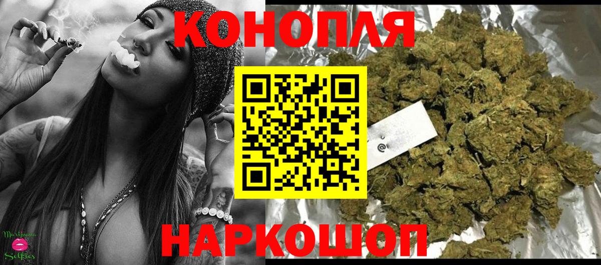Бошки Шишки конопля  Каннабис ГИДРОПОН  Вход с VPN  Славгород 